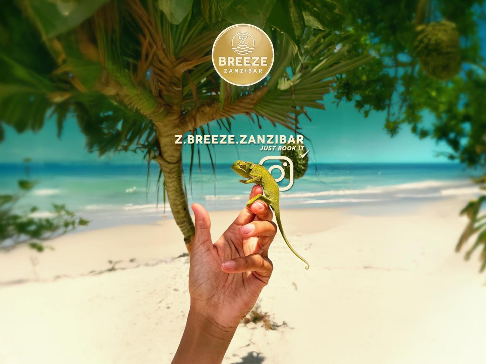 Z-Breeze Zanzibar 호텔 키웬그와 외부 사진
